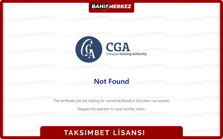 Taksimbet lisans detayları lisans numarası ve denetleyici kurum bilgisini içeren ekran