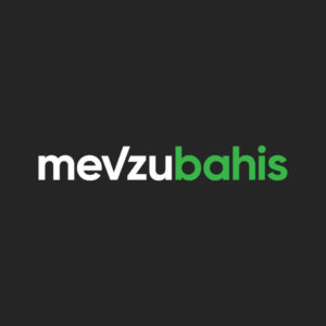 Mevzubahis yeni kullanıcılar için giriş rehberi